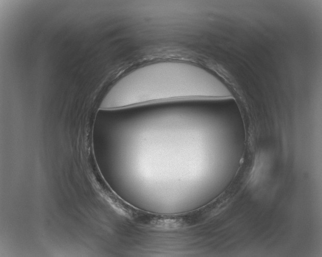 X0000081320449200701111033