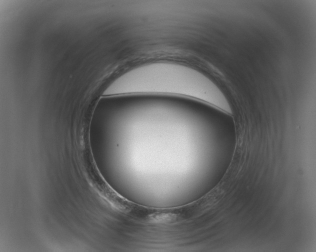 X0000081320452200701111033