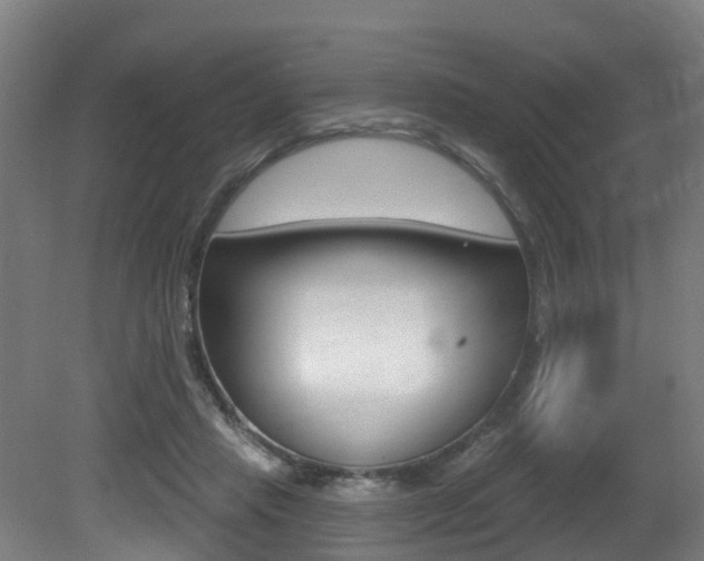 X0000081320453200701111033