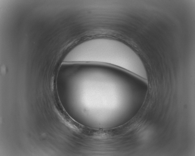 X0000081320454200701111033