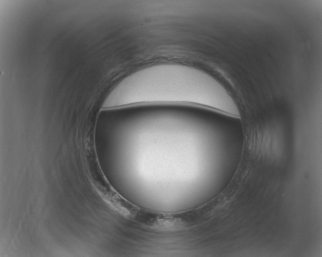 X0000081320455200701111033