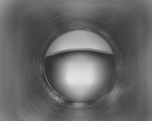 X0000081320457200701111033