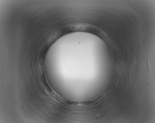 X0000081320460200701111033