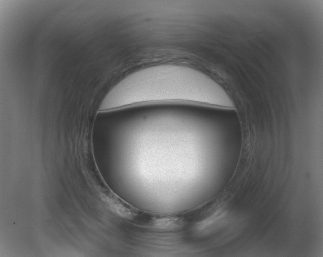 X0000081320461200701111033