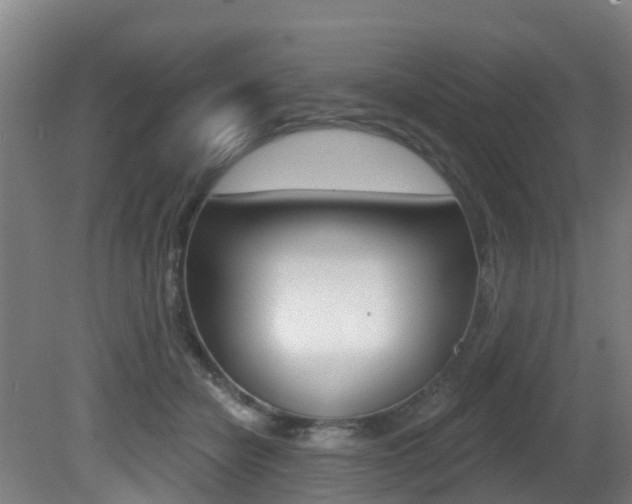 X0000081320462200701111033