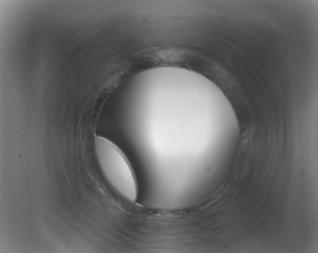 X0000081320464200701111033