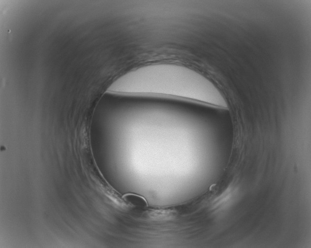 X0000081320465200701111033