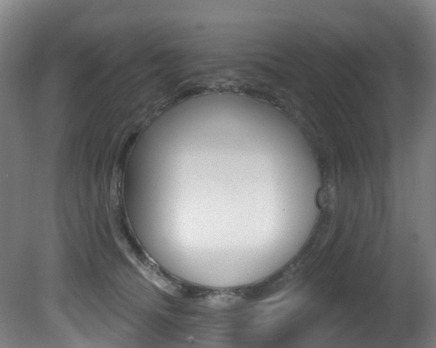 X0000081320468200701111033