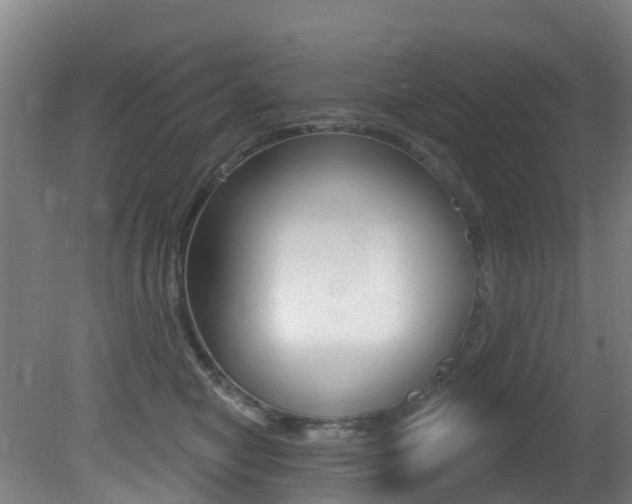 X0000081320470200701111033