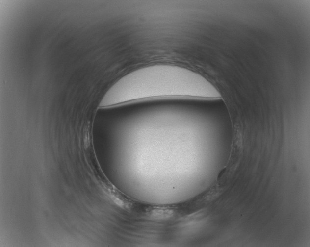 X0000081320471200701111033