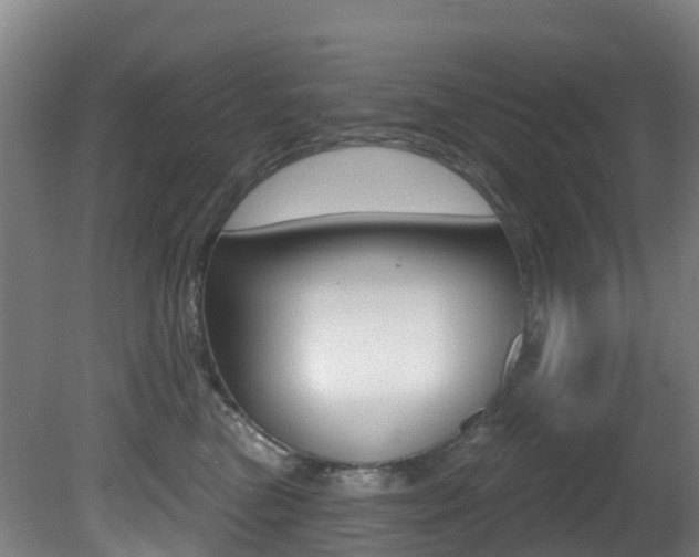 X0000081320473200701111033