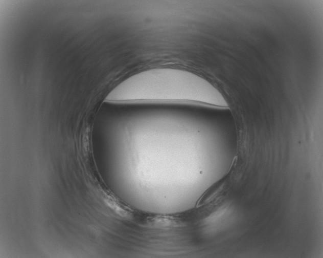 X0000081320475200701111033