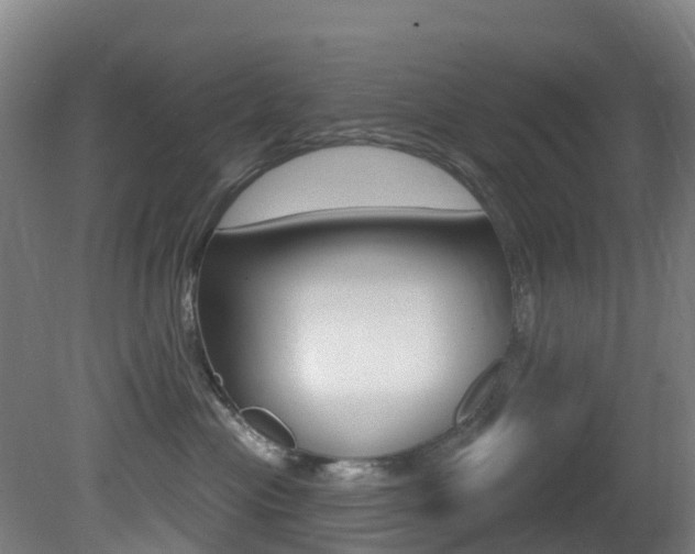 X0000081320477200701111033