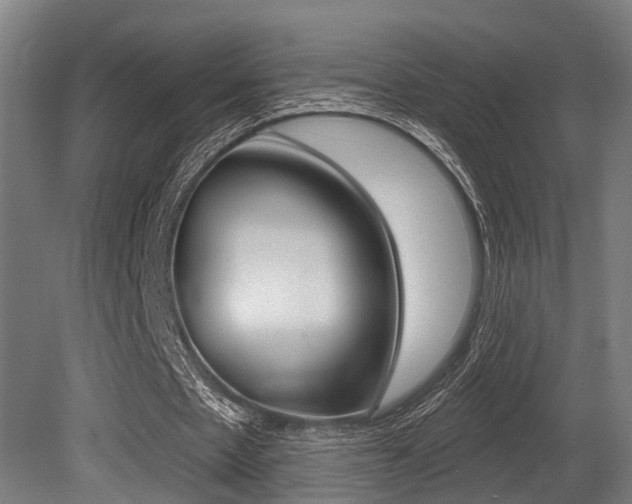 X0000081320481200701111032