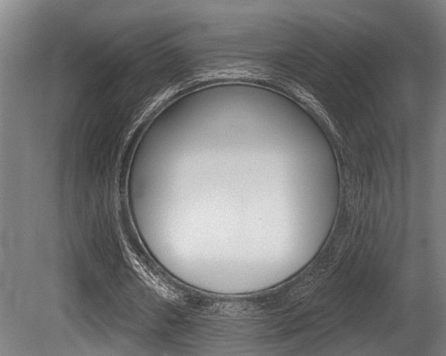 X0000081320482200701111032