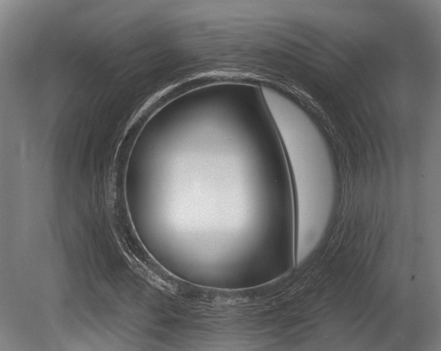 X0000081320484200701111032
