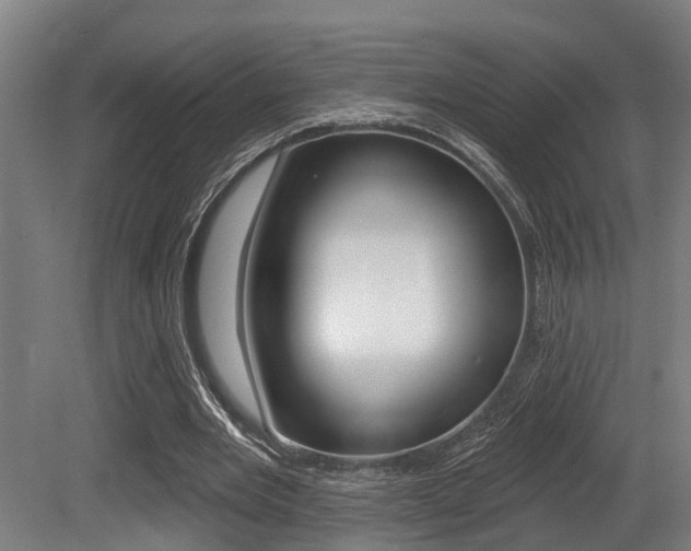 X0000081320485200701111032