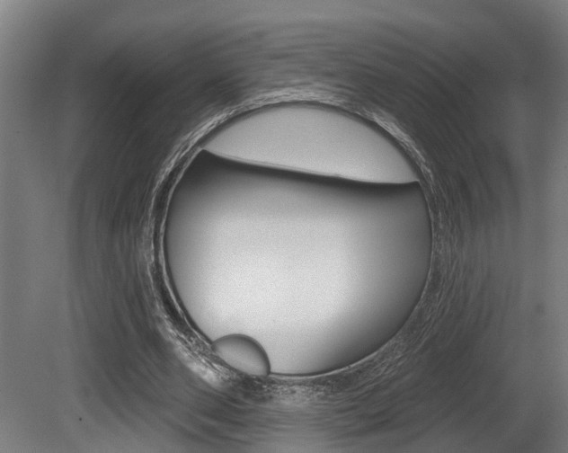 X0000081320486200701111032