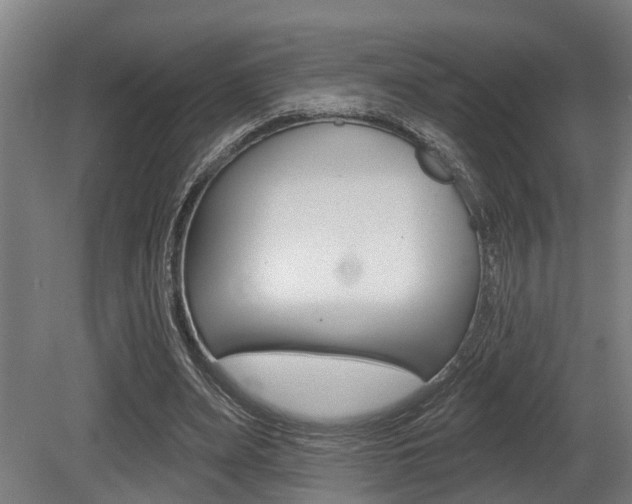 X0000081320487200701111032