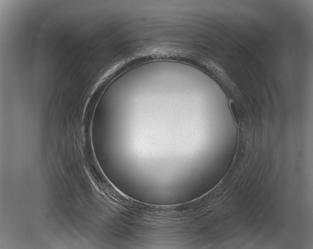 X0000081320488200701111032
