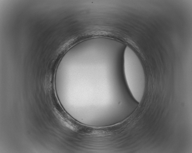 X0000081320490200701111032