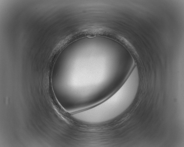 X0000081320493200701111032