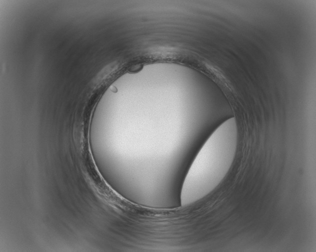 X0000081320494200701111032