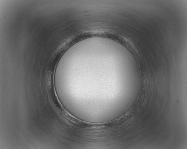 X0000081320495200701111032