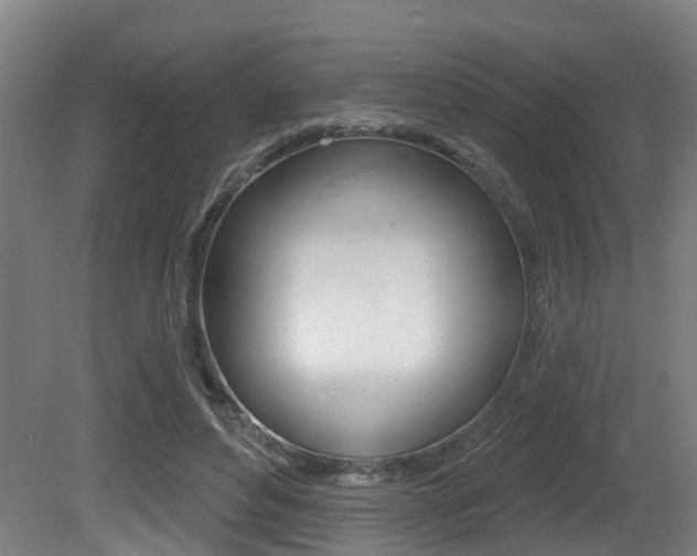 X0000081320496200701111032