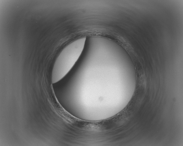 X0000081320498200701111032