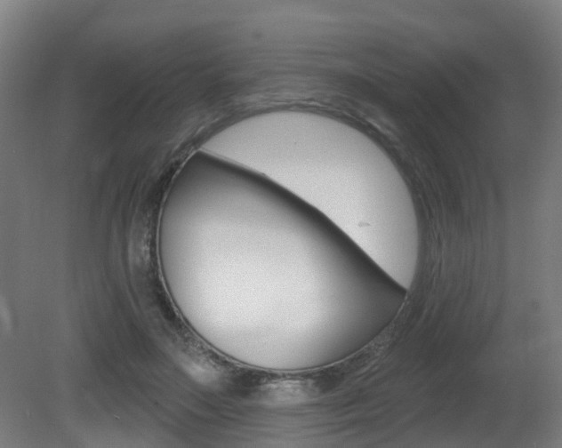 X0000081320499200701111032