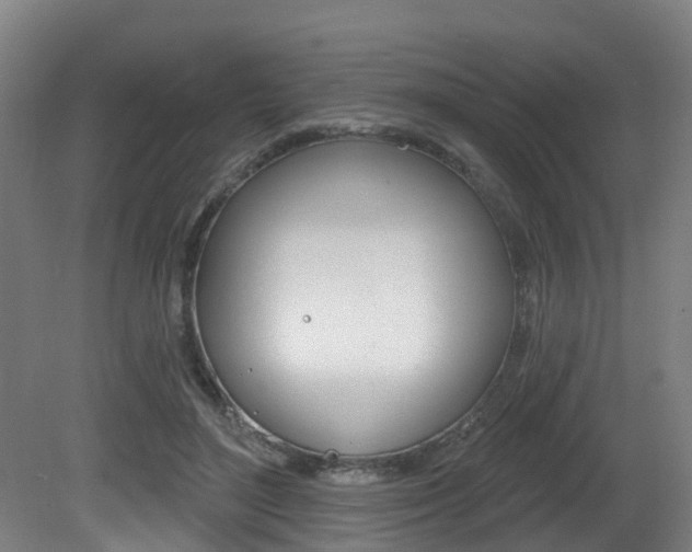 X0000081320500200701111032