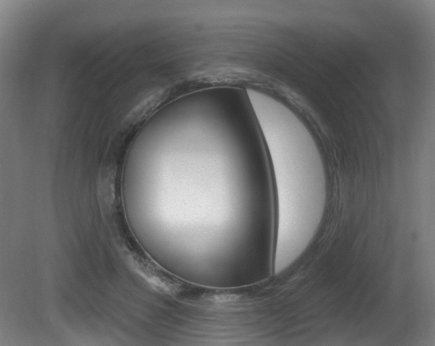 X0000081320501200701111032