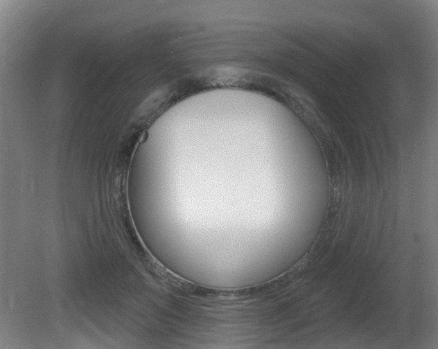X0000081320503200701111032