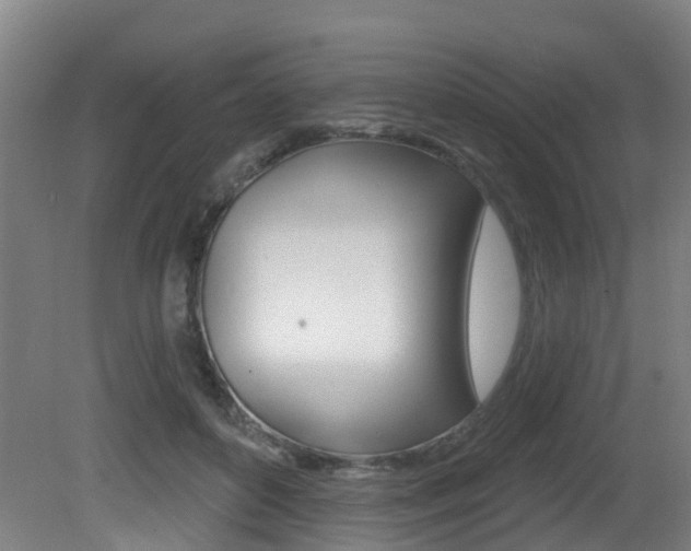 X0000081320504200701111032