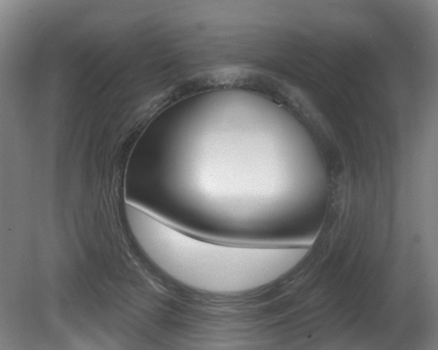 X0000081320505200701111032