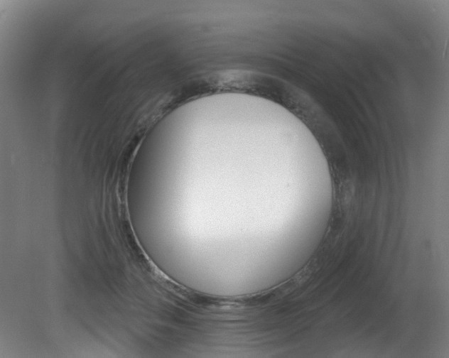 X0000081320506200701111032