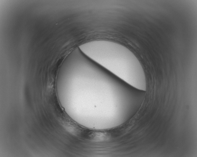 X0000081320507200701111032