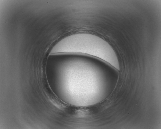 X0000081320508200701111032