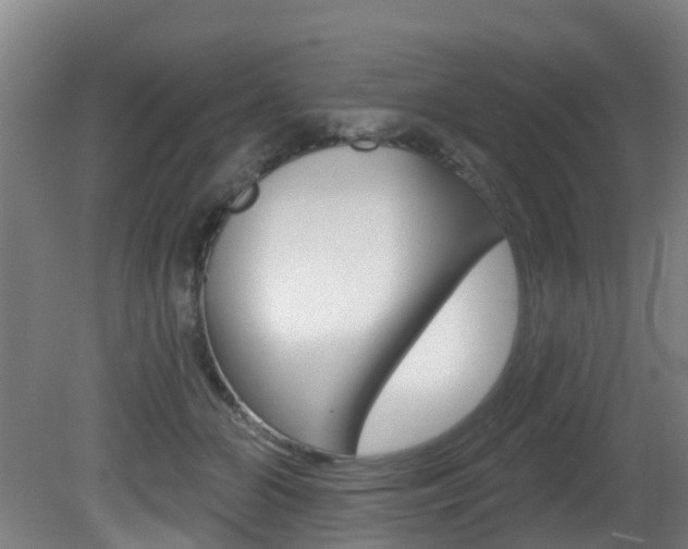 X0000081320510200701111032