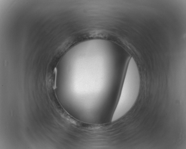 X0000081320513200701111032