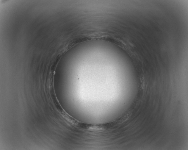 X0000081320515200701111032