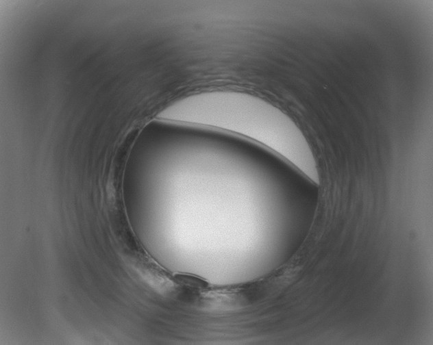 X0000081320516200701111032
