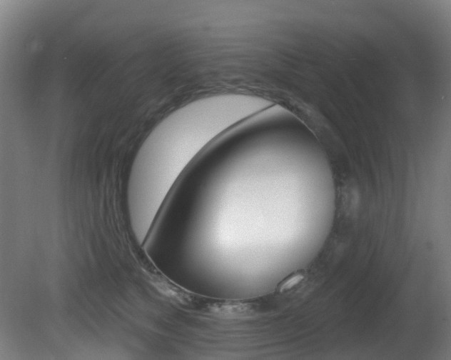 X0000081320517200701111032