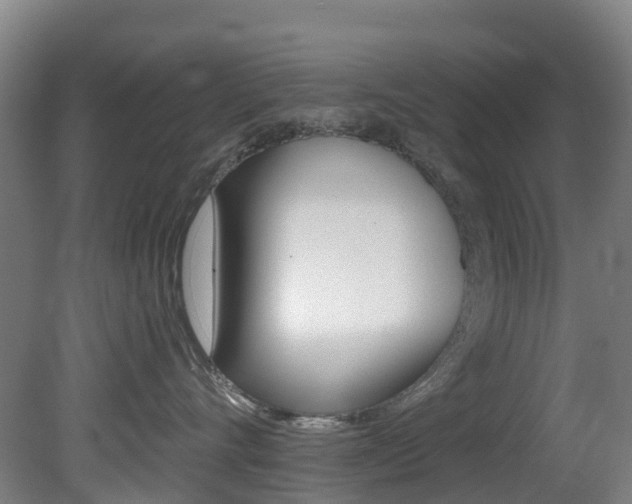 X0000081320528200701111032