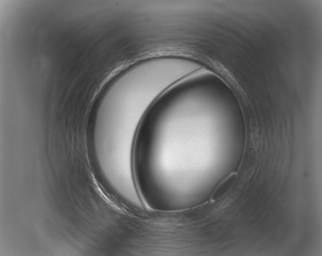 X0000081320530200701111031