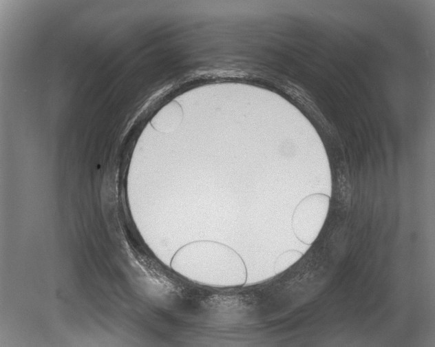 X0000081320534200701111031