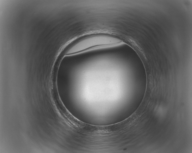 X0000081320536200701111031