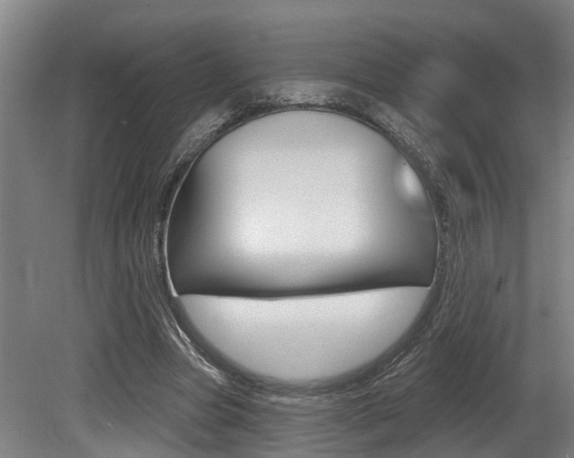 X0000081320537200701111031