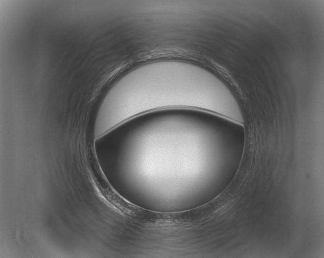 X0000081320538200701111031
